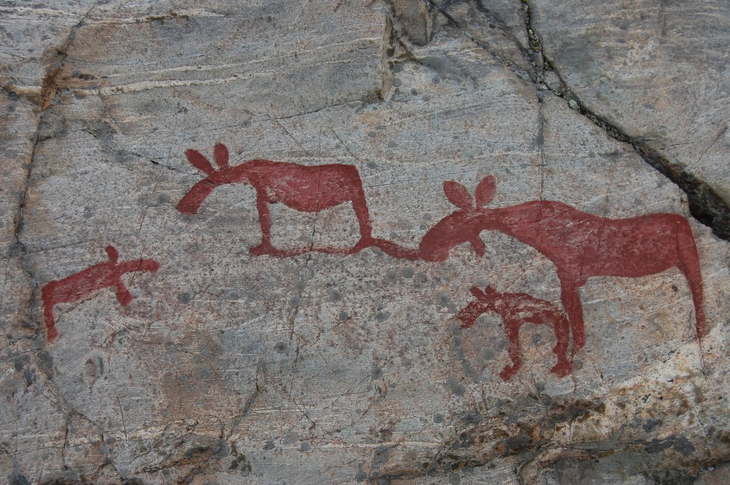 Hällristningar vid Nämforsen